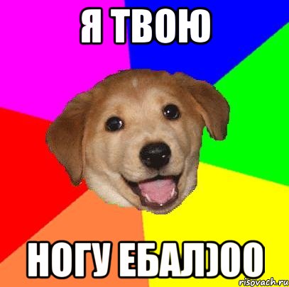 я твою ногу ебал)00, Мем Advice Dog