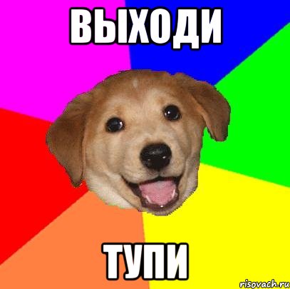 Выходи Тупи, Мем Advice Dog