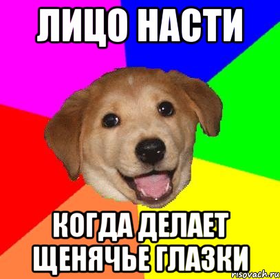 Лицо Насти Когда делает щенячье глазки, Мем Advice Dog