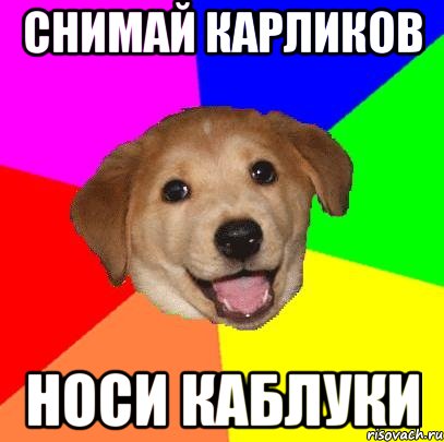 снимай карликов носи каблуки, Мем Advice Dog