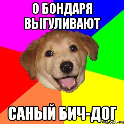 О бондаря выгуливают Саный бич-дог, Мем Advice Dog