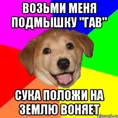 Возьми меня подмышку "Гав" Сука положи на землю воняет, Мем Advice Dog