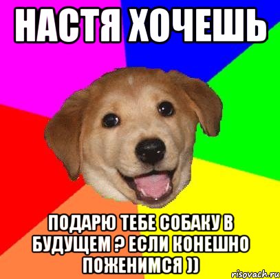 Настя хочешь подарю тебе собаку в будущем ? Если конешно поженимся )), Мем Advice Dog