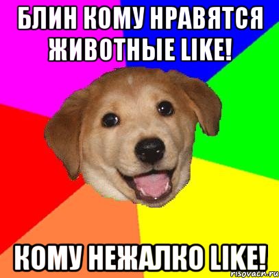 БЛИН КОМУ НРАВЯТСЯ ЖИВОТНЫЕ LiKe! КОМУ НЕЖАЛКО LiKe!, Мем Advice Dog