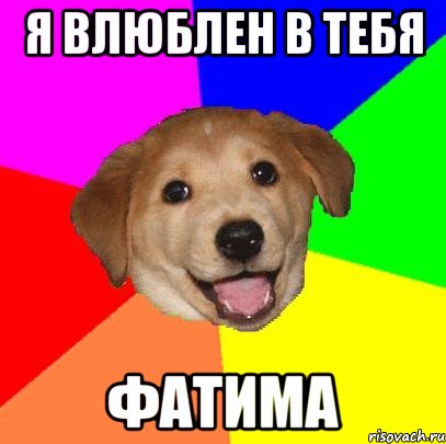 я влюблен в тебя фатима, Мем Advice Dog