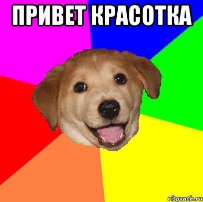 Привет красотка , Мем Advice Dog