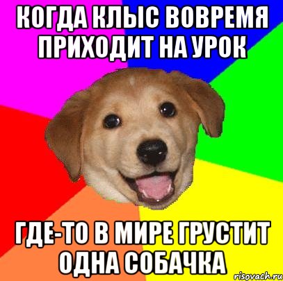 когда Клыс вовремя приходит на урок где-то в мире грустит одна собачка, Мем Advice Dog