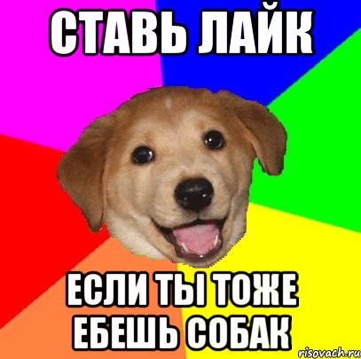 ставь лайк если ты тоже ебешь собак, Мем Advice Dog