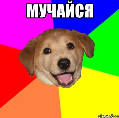 Мучайся , Мем Advice Dog