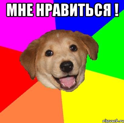 Мне нравиться ! , Мем Advice Dog