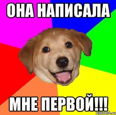 Она написала мне первой!!!, Мем Advice Dog