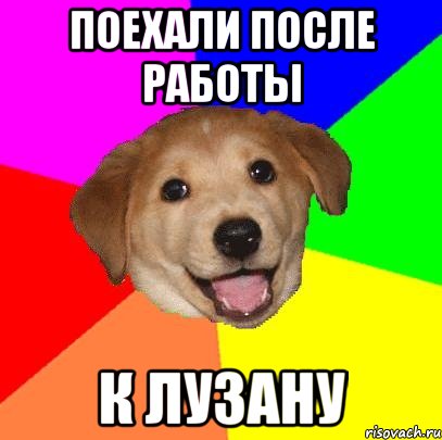 поехали после работы к лузану, Мем Advice Dog