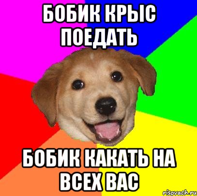 бобик крыс поедать бобик какать на всех вас, Мем Advice Dog