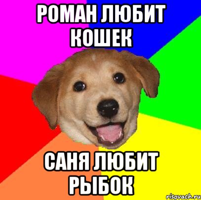 Роман любит кошек Саня любит рыбок, Мем Advice Dog