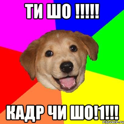 ти шо !!!!! Кадр чи шо!1!!!, Мем Advice Dog