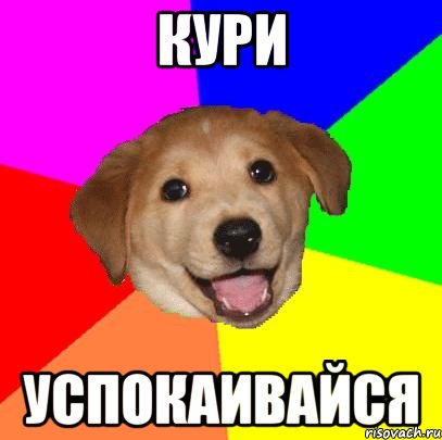 КУРИ УСПОКАИВАЙСЯ, Мем Advice Dog