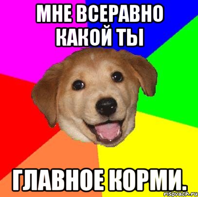 Мне всеравно какой ты Главное корми., Мем Advice Dog