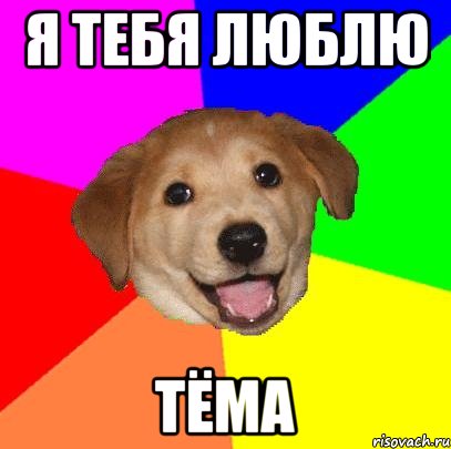 Я тебя люблю Тёма, Мем Advice Dog