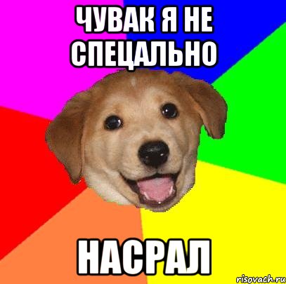 Чувак я не спецально НАСРАЛ, Мем Advice Dog