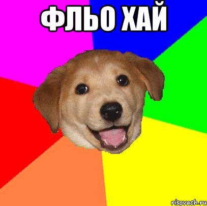 фльо хай , Мем Advice Dog