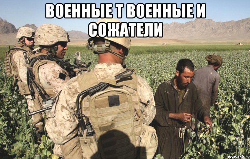 военные т военные и сожатели 