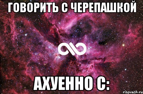 говорить с черепашкой ахуенно с:, Мем офигенно