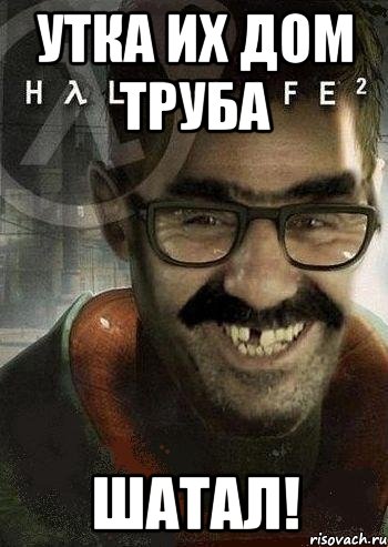 Утка их дом труба ШАТАЛ!, Мем Ашот Фримэн