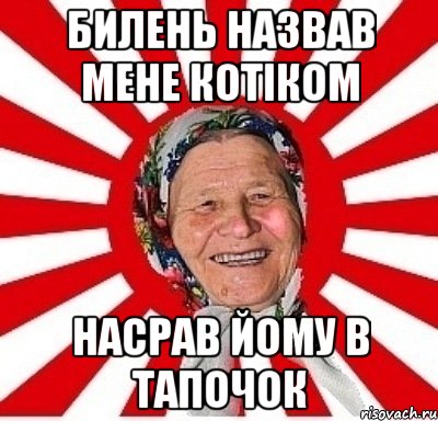 Билень назвав мене котіком Насрав йому в тапочок, Мем  бабуля