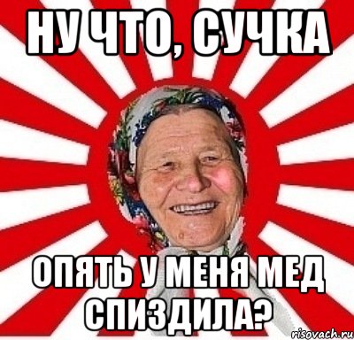 ну что, сучка опять у меня мед спиздила?, Мем  бабуля