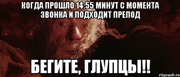 Когда прошло 14:55 минут с момента звонка и подходит препод Бегите, глупцы!!, Мем бегите глупцы