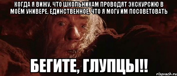 Когда я вижу, что школьникам проводят экскурсию в моём универе, единственное, что я могу им посоветовать Бегите, глупцы!!, Мем бегите глупцы