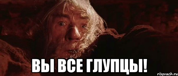  ВЫ ВСЕ ГЛУПЦЫ!, Мем бегите глупцы