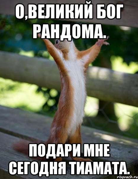 О,Великий Бог РАНДОМА. Подари мне сегодня Тиамата., Мем    белка молится