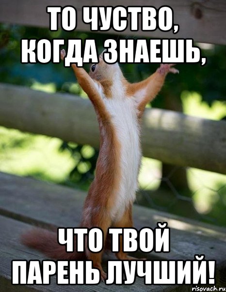 то чуство, когда знаешь, что твой парень лучший!, Мем    белка молится