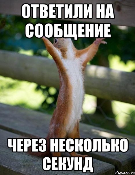 Ответили на сообщение Через несколько секунд, Мем    белка молится