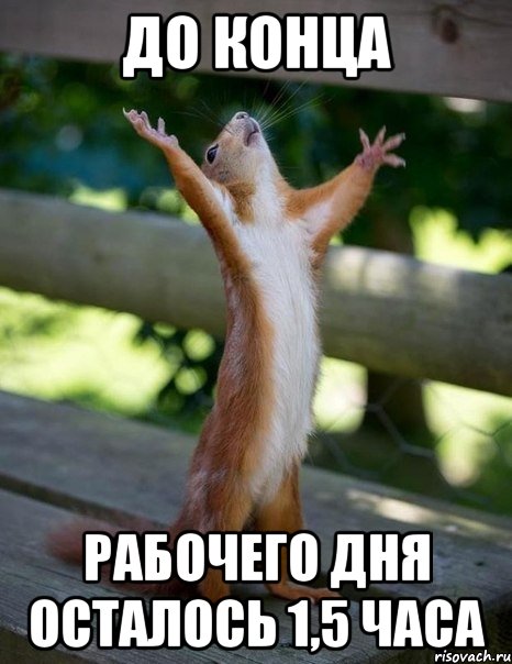 До конца Рабочего дня Осталось 1,5 часа, Мем    белка молится