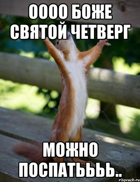 оооо Боже святой четверг можно поспатьььь.., Мем    белка молится