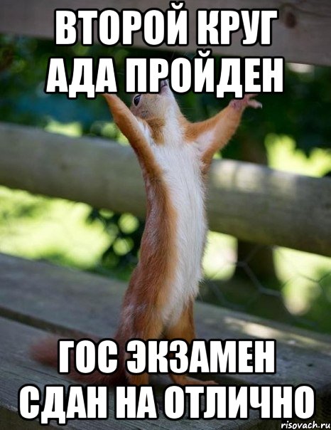 Второй круг ада пройден ГОС экзамен сдан на отлично, Мем    белка молится