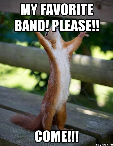 My favorite band! Please!! COME!!!, Мем    белка молится