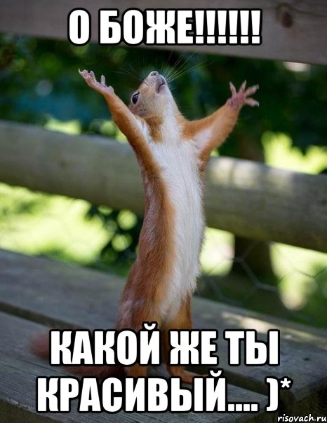 О БОЖЕ!!!!!! КАКОЙ ЖЕ ТЫ КРАСИВЫЙ.... )*, Мем    белка молится