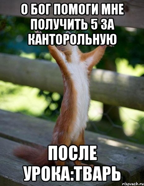 О БОГ ПОМОГИ МНЕ ПОЛУЧИТЬ 5 ЗА КАНТОРОЛЬНУЮ ПОСЛЕ УРОКА:ТВАРЬ, Мем    белка молится