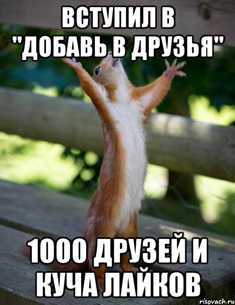 Вступил в "добавь в друзья" 1000 друзей и куча лайков, Мем    белка молится