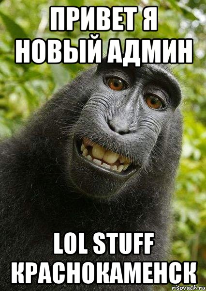 Привет я новый админ lol stuff Краснокаменск, Мем бибизяна