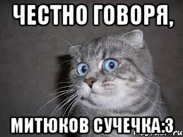 Честно говоря, Митюков сучечка:3