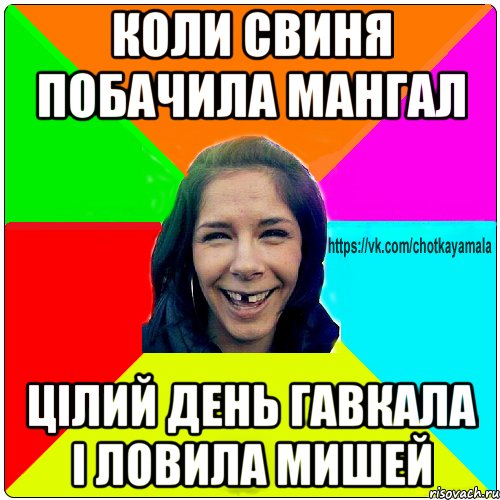 коли свиня побачила мангал цілий день гавкала і ловила мишей, Мем Чотка мала