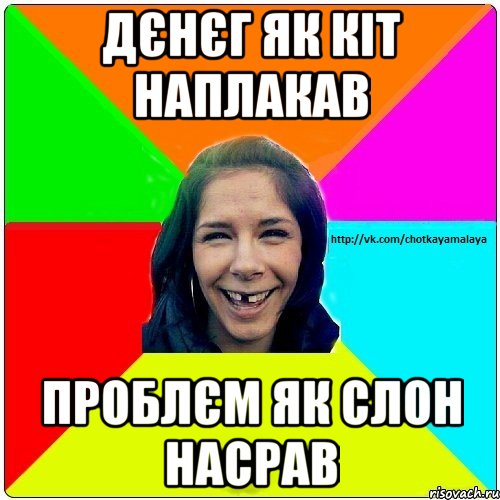 дєнєг як кіт наплакав проблєм як слон насрав, Мем Чотка мала