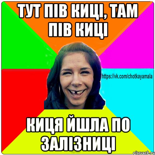 тут пів киці, там пів киці киця йшла по залізниці, Мем Чотка мала