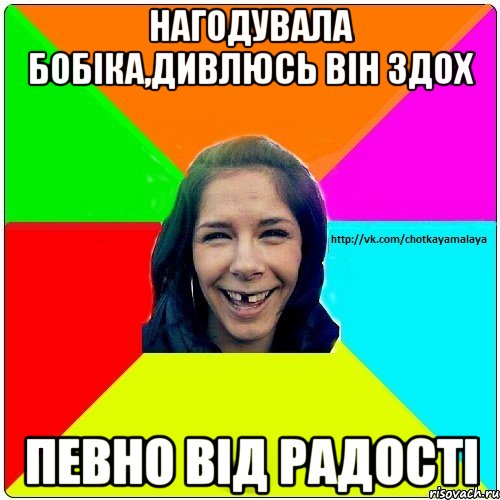 Нагодувала бобіка,дивлюсь він здох Певно від радості, Мем Чотка мала