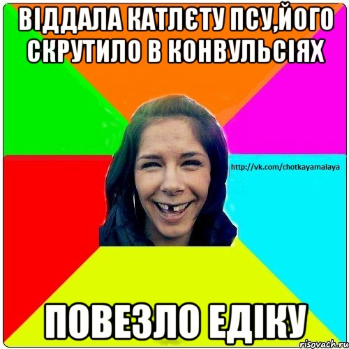 Віддала катлєту псу,його скрутило в конвульсіях Повезло едіку, Мем Чотка мала