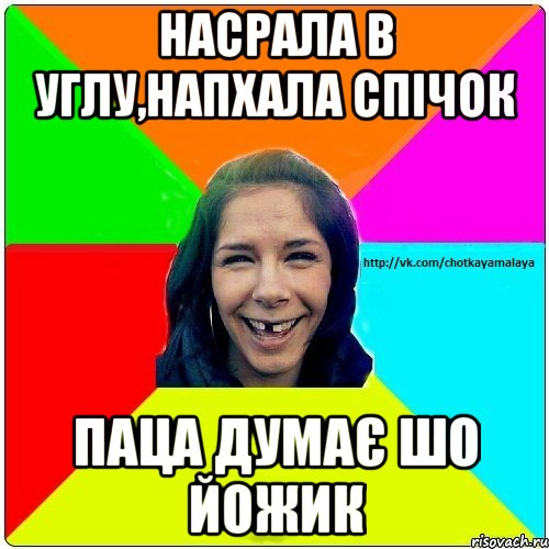 Насрала в углу,напхала спічок Паца думає шо йожик, Мем Чотка мала